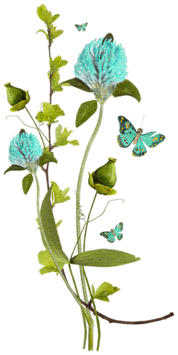 kikkapink deco scrap  flowers butterflies spring - png grátis
