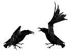 birds anastasia - Безплатен анимиран GIF
