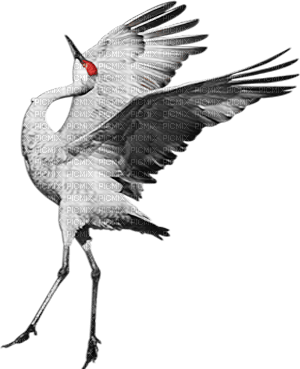 soave deco bird oriental crane black white RED - gratis png