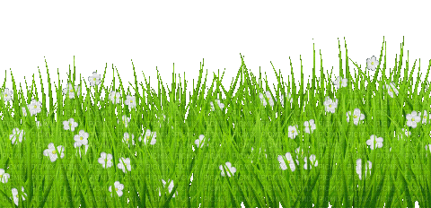 Goose  Flowers Meadow - GIF animado gratis
