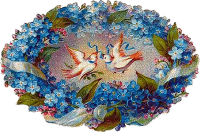 Forget Me Not Doves - png gratuito