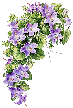 flores  dubravka4 - Безплатен анимиран GIF
