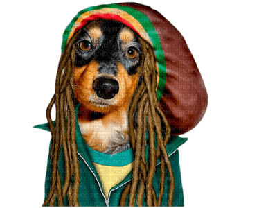 dog dress up bp - 免费PNG