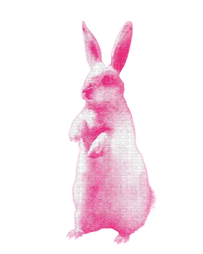 pink bunny - PNG gratuit