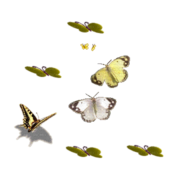 MMarcia gif tube borboletas - Nemokamas animacinis gif