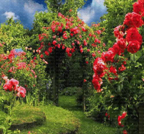 Background garden - GIF animé gratuit