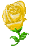 Single Yellow Rose - GIF animé gratuit