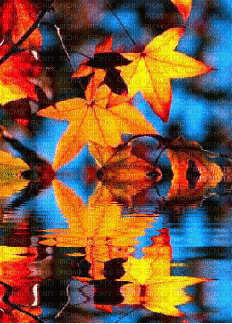 paysage. autumn,gif,fond, Pelageya - GIF animasi gratis