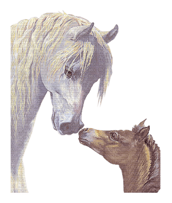 horse with foal bp - δωρεάν png
