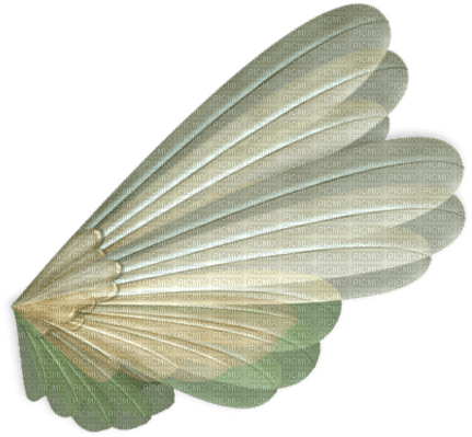 Flügel - darmowe png