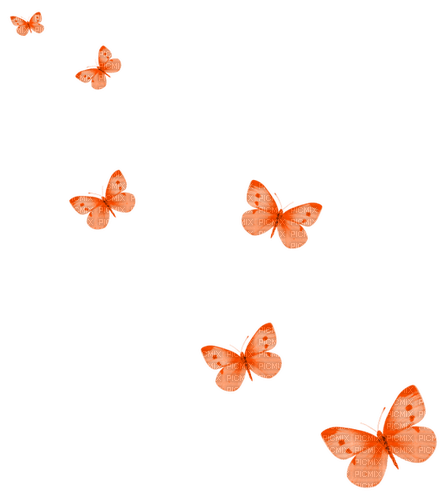Butterflies.Orange - 無料png