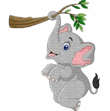 elefante - δωρεάν png