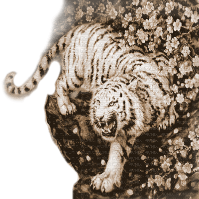 Y.A.M._Fantasy animals tiger sepia - PNG gratuit