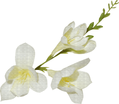 Kaz_Creations Deco Easter White Flowers Flower - PNG gratuit