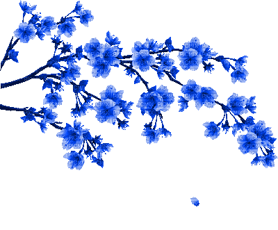 blue flower branche gif bleu fleur branche