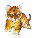 tigre - Darmowy animowany GIF