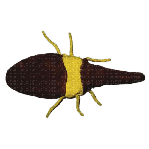 hercules beetle by me - png ฟรี