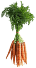 Kaz_Creations Vegetables - безплатен png