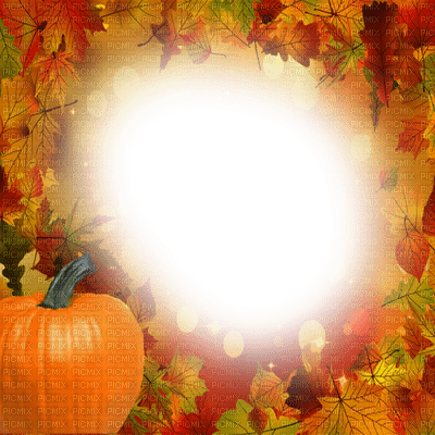 fond autumn automne - ücretsiz png