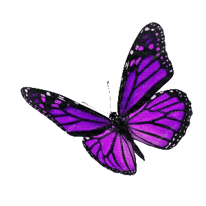 dolceluna purple spring butterfly deco scrap png - PNG gratuit