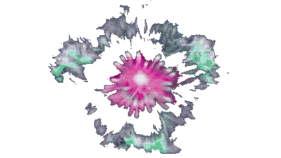 coe rose pink - GIF animado grátis