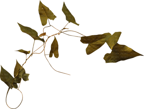 Herbst 4 - Free PNG