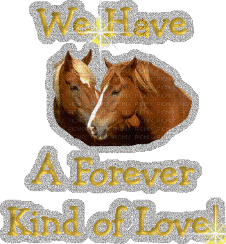 We have a forever kind of love - GIF animasi gratis