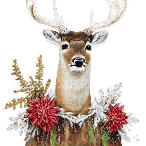 kikkapink winter deer animal - zadarmo png