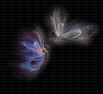 farfalle - Gratis animerad GIF