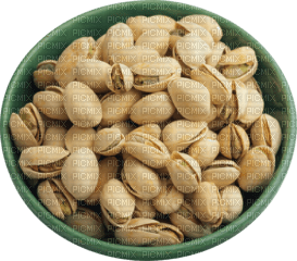 nut (پسته ) - 免费PNG