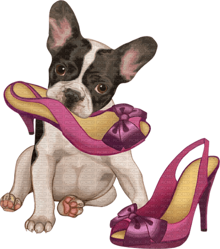 dolceluna dog fashion shoes - nemokama png