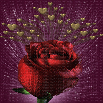 rózsa szívecskével - GIF animado gratis