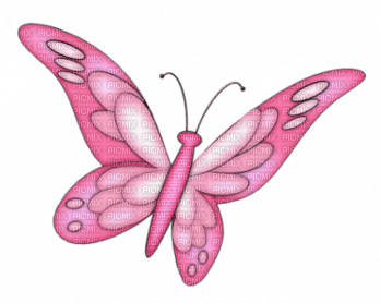 pink butterfly deco - kostenlos png