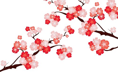 Y.A.M._Japan Spring Flowers Decor - PNG gratuit