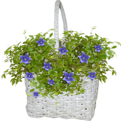 Panier osier blanc avec fleurs bleues - png gratis