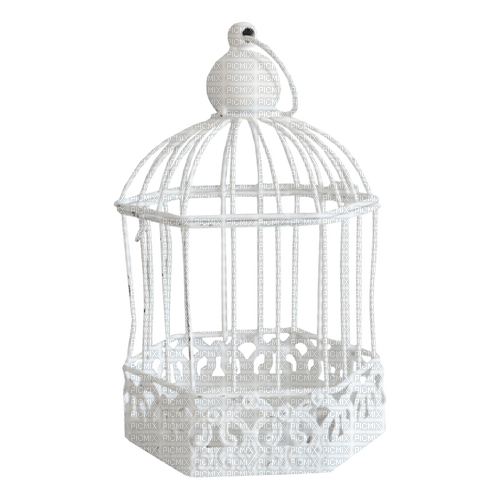 kikkapink deco scrap birdcage cage - zdarma png