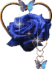rosa azul - Zdarma animovaný GIF