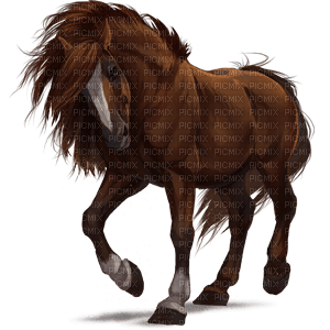 Horse - 無料png