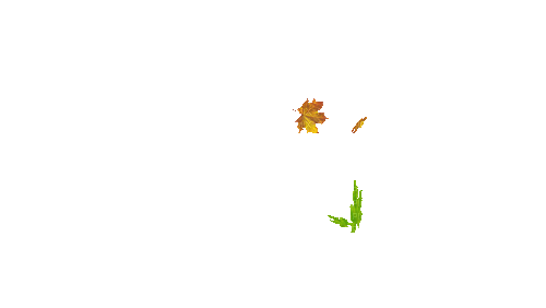 Autumn - Ingyenes animált GIF