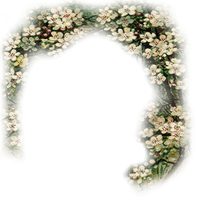 arco flores primavera dubravka4 - PNG gratuit