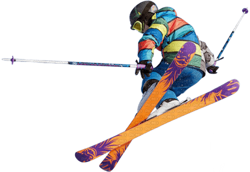 ski - zdarma png