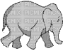 elephant - Animovaný GIF zadarmo