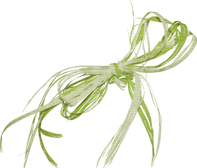 Kaz_Creations Green Deco String  Colours - Free PNG