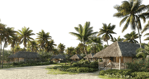 house,home,trees, Town - png gratis