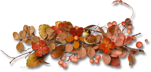 fall autumn leaf leaves feuille - δωρεάν png