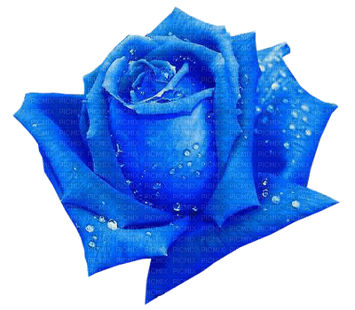 rosa azul-l - бесплатно png