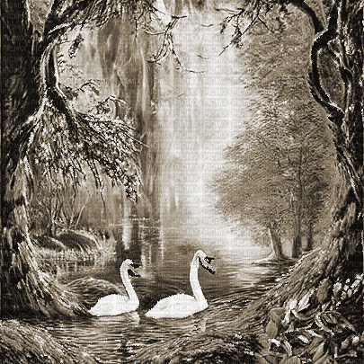 kikkapink autumn background swan lake - 免费动画 GIF