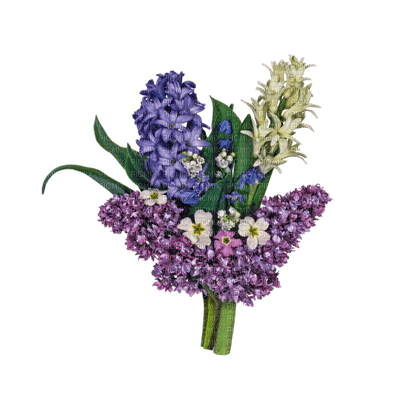 Kaz_Creations Deco Flower Flowers Colours - 免费PNG