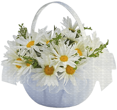 Flowers white bp - бесплатно png