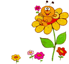 kwiat - GIF animé gratuit